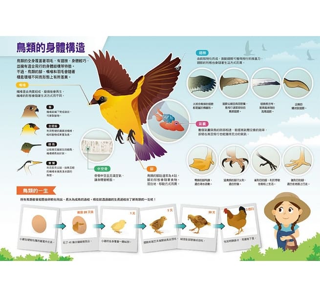 漫畫大英百科 生物地科 （11～15集）